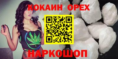 Альфа ПВП Кандалакша