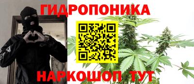 Альфа ПВП Кандалакша