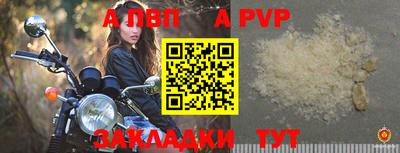 Альфа ПВП Кандалакша