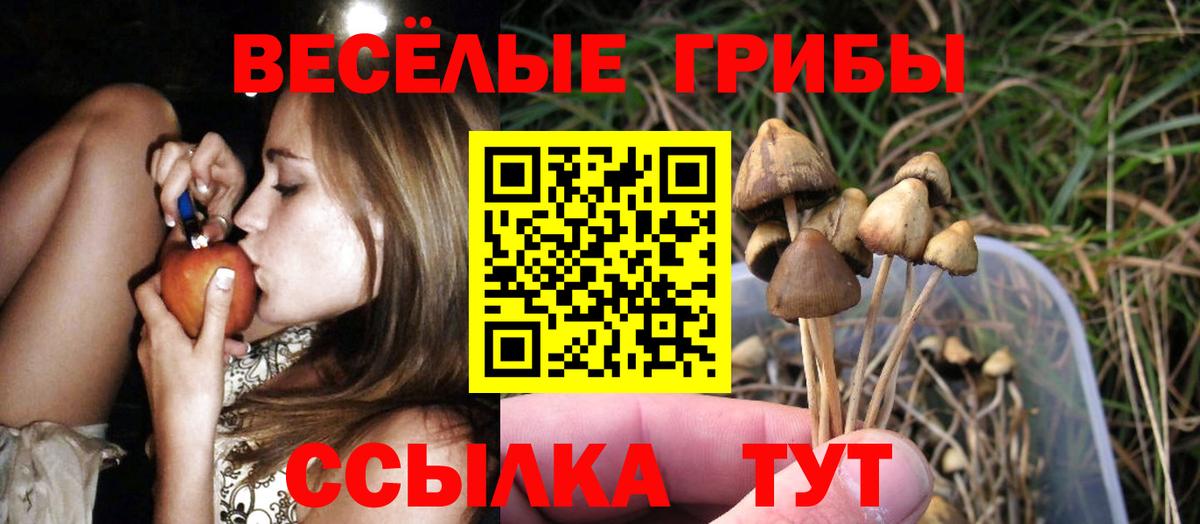 Псилоцибиновые грибы Magic Shrooms Краснодар
