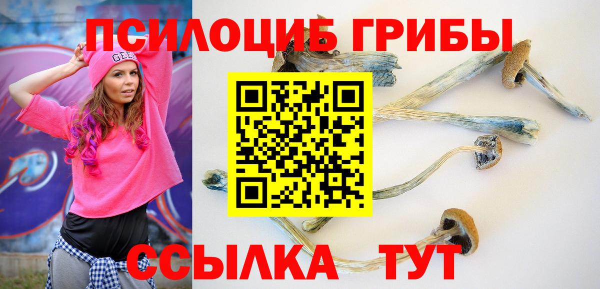 Краснодар  Псилоцибиновые грибы мухоморы  Вход с VPN 
